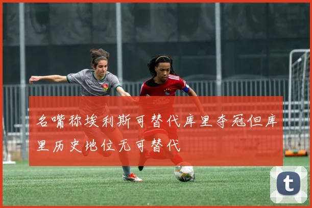 名嘴称埃利斯可替代库里夺冠但库里历史地位无可替代