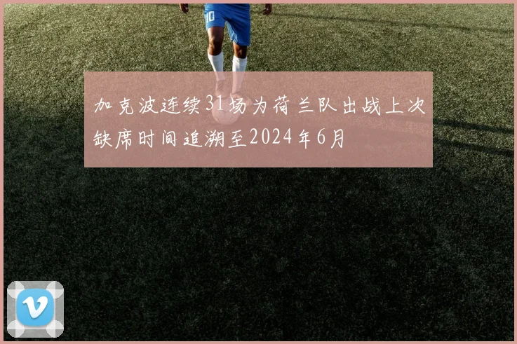 加克波连续31场为荷兰队出战上次缺席时间追溯至2024年6月